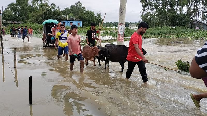 হবিগঞ্জ সদর উপজেলার জালালাবাদ এলাকায় নোওয়াগাঁও গ্রামের প্রবেশপথ ডুবে গেছে। গতকাল দুপুরে